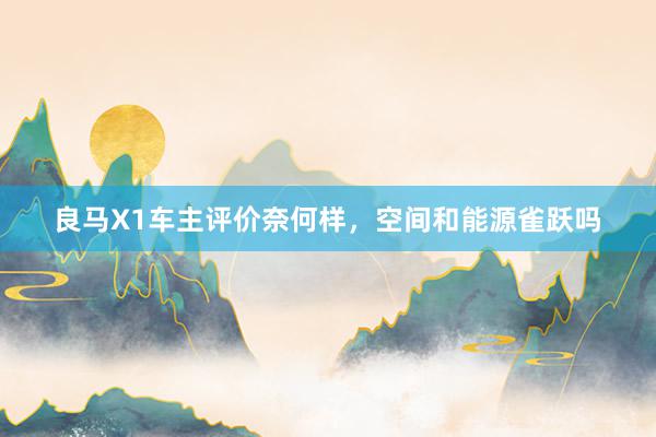 良马X1车主评价奈何样，空间和能源雀跃吗